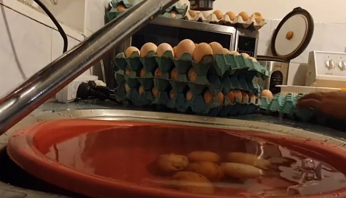 Cleaning The Eggs for Incubation