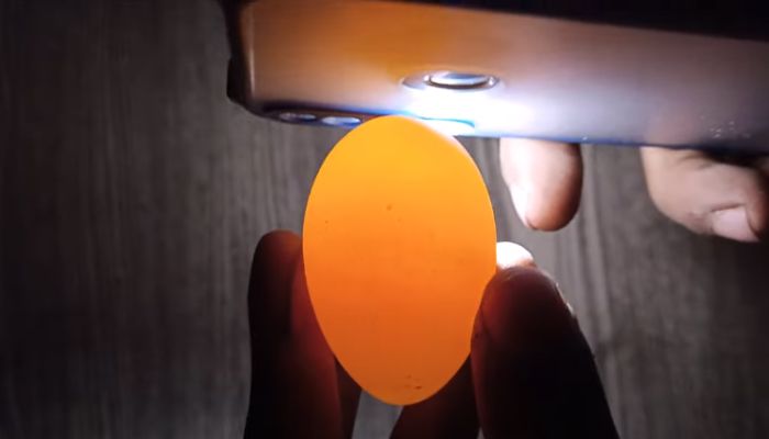 Candling The Egg