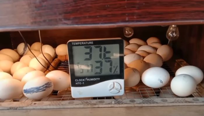Maintaining Temperature in Incubator
