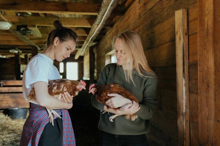 How to Winterize a Chicken Coop